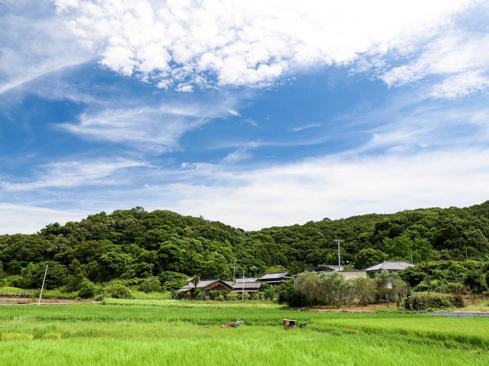 オリーブ農家の家 お泊り忠左衛門 吉野 Villa Shodoshima Ngoại thất bức ảnh